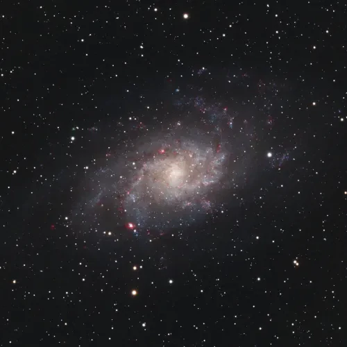 M33