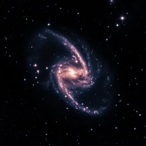 NGC1365