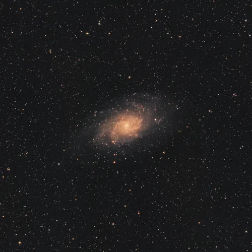 M33 AVR